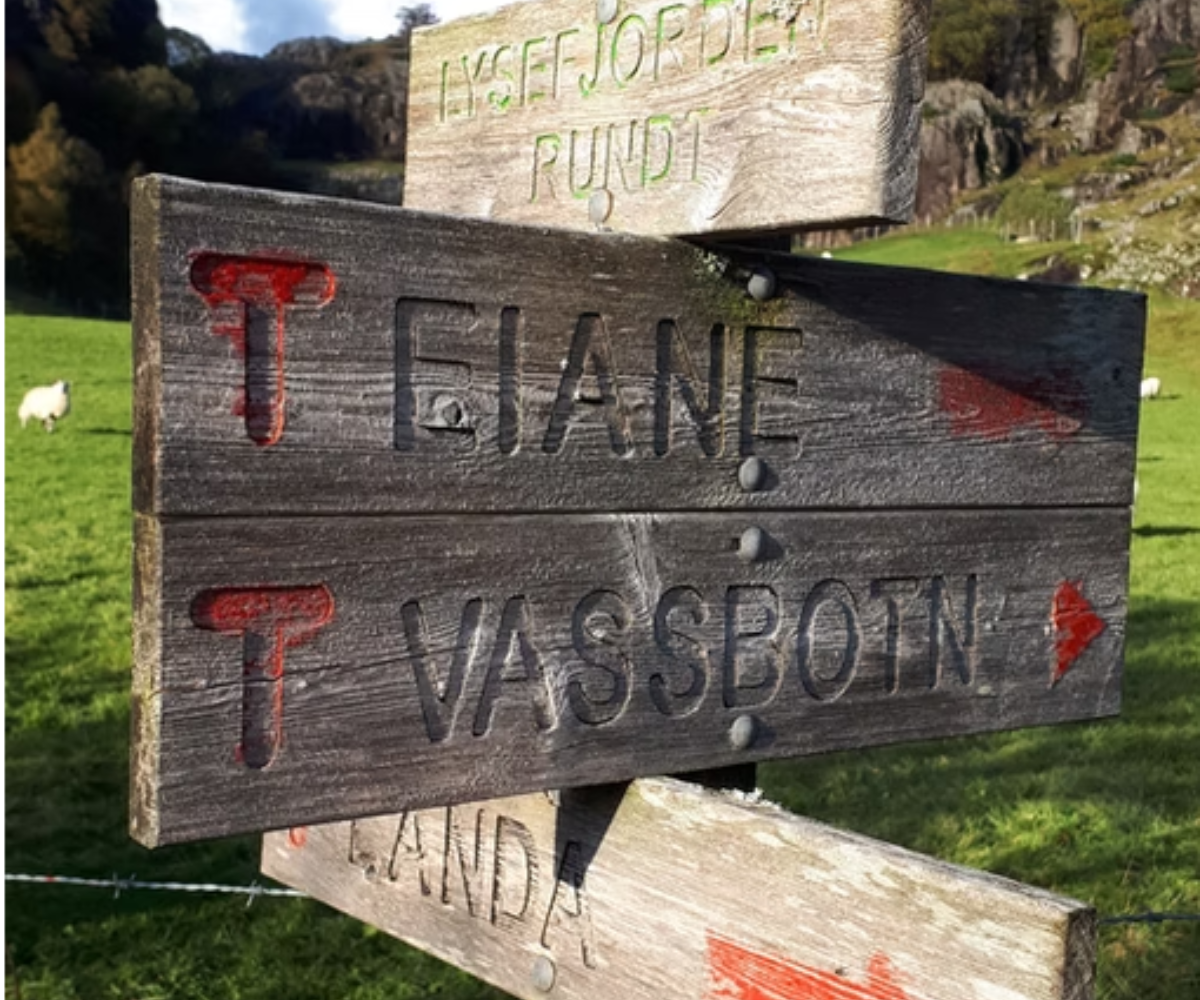 Gårdsaktiviteter
